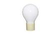 Natural White Long Life Globular Electrodeless Induction Light Bulb CE UL Rohs FCC Approved