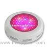 Energy Saving Round LED Plant Grow Light 3w Color Changing For Plant Gorwing And Blooming