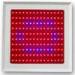 150w LED Plant Grow Light Red Blue spectrum for Vegetable Shed and botanic garde