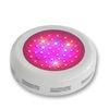 Blue Spectrum LED Plant Grow Light 3w Aluminium , LED Lamp Plant Growth