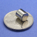 Neo Generator Magnet D8 x 8mm up to 3000 Gauss Magnet