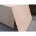 factory-directly sales film faced plywood commercial plywood