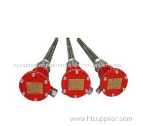 Insertion type tank electric heater