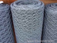 Cold Galvanizing Hexagonal Wire Netting