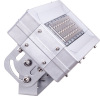 IP65 LED floodlight 30W with CE and RoHS