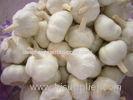 vegetable garlic large garlic