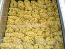 100% Maturity Fresh Smooth Holland Potato Yellow Inside 20 kg/ Carton