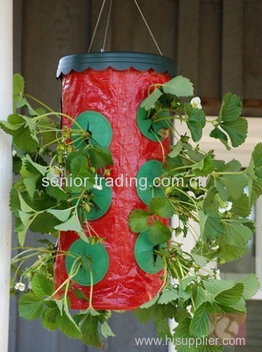 Strawberry planter Plastic garden Topsy turvy planter as seen as on tv