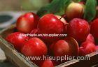 Round Pome Fruit Red Gala Apple Small , Average Weight 280g