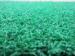 Fake Tennis Artificial Grass Lawn Gauge 1/5, Yarn Count 6300Dtex