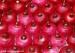 Low Calories Healthy Fresh Red Onion With 10kg / 15kg Mesh Bag