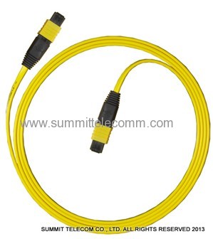 MTP Fiber Optic Patch Cables MTP Fanout Patch Cords MTP Optical Fiber Jumper