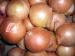 Professional Yellow Fresh Onion Large 90mm With ISO , HACCP , FDA 10kgs/ctn