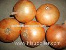 Yellow New Crop Fresh Onions Specification 5cm - 7cm , 7cm - 9cm