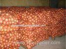 Unspoiled New Crop Natural Fresh Onion Yellow 10kg / Mesh Bag