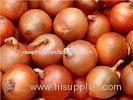 Chinese Natural Fresh Onion 30mm - 50mm With ISO , HACCP , FDA