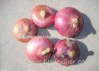 New Crop Natural Fresh Red Onion , No Worm - Eaten 30kg / Mesh Bag