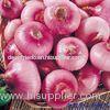70mm - 90mm Small Natural Fresh Onion Red 5kg / Mesh Bag