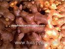 Healthy Fresh Ginger Crop 150 - 250g / 100 - 150g , Long Shelf Life