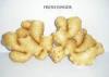 Golden Semi - dried Fresh Ginger 9kg / Carton For Japan , South Korea , America