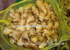 Delicious High Nutrition fresh Young Ginger 350g , No Rotten / No Mouldy