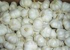 Cold Storage Normal White Garlic With 3P , 4P , 5P , 6P / net