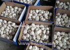 Natural Fresh Vegetable Pure White Garlic 5.5cm Packed In Carton