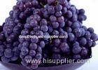Health Currant Fresh Purple Grapes 23mm with Haccp , Global Gap