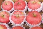 60mm - 65mm Fresh Fruit Fuji Red Apple , Health No Pesticide Residue