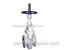 gate check valve power plant valves