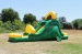 Family backyard green inflatable water slide