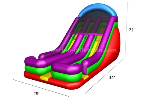 Hot sale blue inflatable tropical dual lane slide