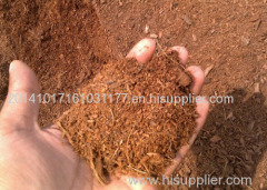 Coco Peat / Coir Pith / Coir Brick