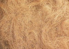 Coir fiber from India high quality