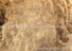 Coir fiber from India high quality