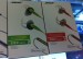 Wholesale New Package Bose SIE2i Sport Earbud Headphones with MIC AAA Quality