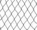 black Polyethylene Anti bird Bush / Plant protective netting for fruit trees