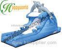 Dolphin Outdoor Inflatable Water Slides With CE / UL Blower For Playground