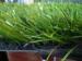 artificial turf residential soccer artificial turf