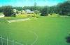 Green Olympic Performance Artificial Turf Sports for Hockey Basketball Courts