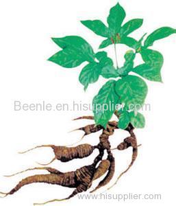 Competitive price and goods for ginseng root extract powder 7%