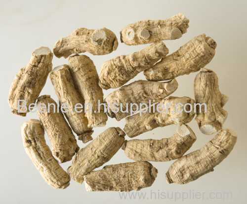 2014 ginseng buyers best choice for ginseng extract powder