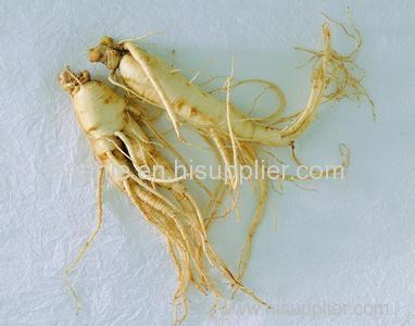 2014 hot sale Gingseng siberian root extract 18%