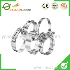 American Type Hose Clamp