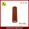 7W CE RoHS LED Wall Light