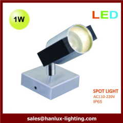 1W high power led spoot light