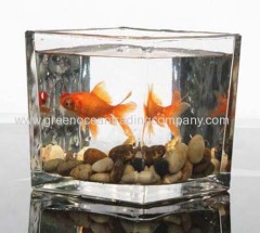 Glass cube vase - 1