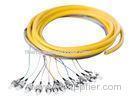 12core , 24core , 48core FC Fiber Optic Pigtail for Optical access network