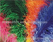 Ostrich feather for hair extension