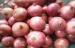 Sweet Red Natural Fresh Onion Bulbs Contains Rich Microelement For Market, The fleshy scales, Light